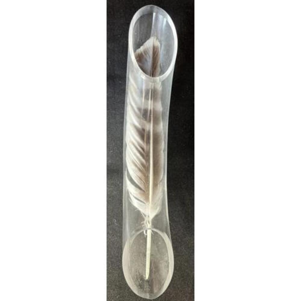 VINTAGE FEATHER IN GLASS FROM CHIVE CA COMPANY